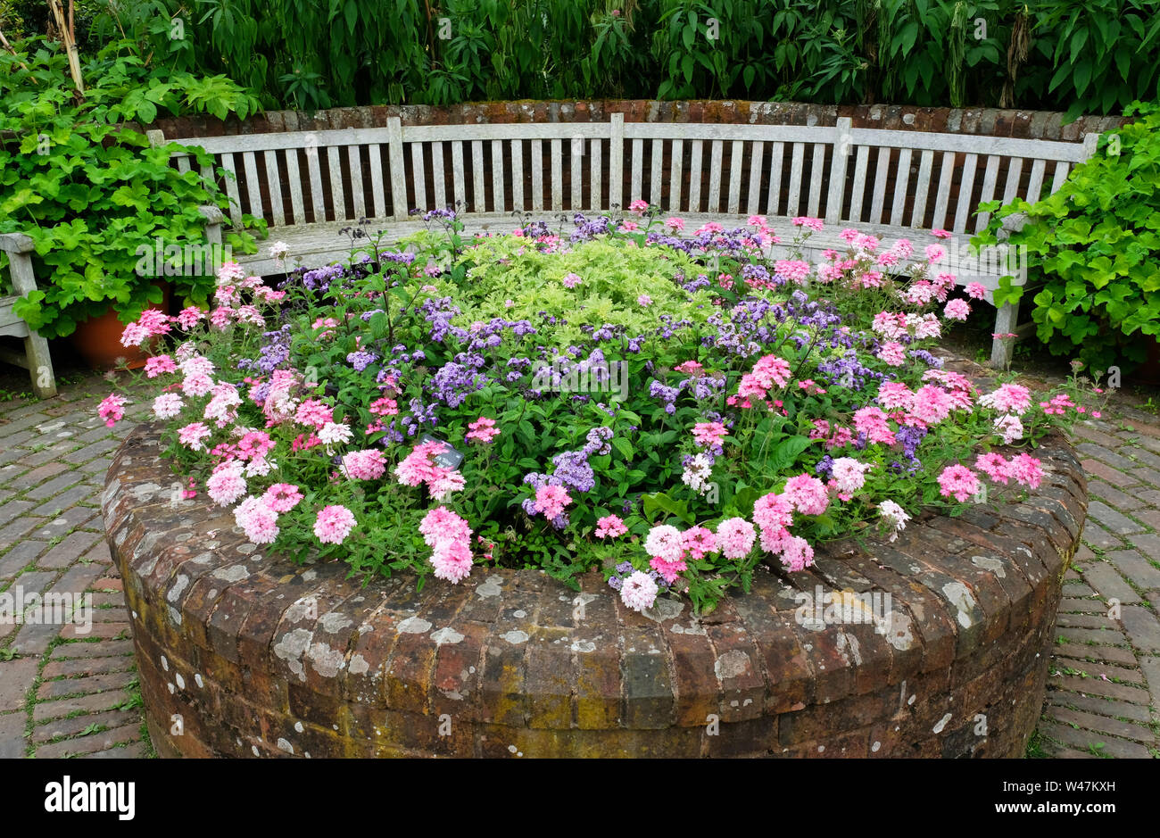 Raised flower bed hi-res stock photography and images - Alamy