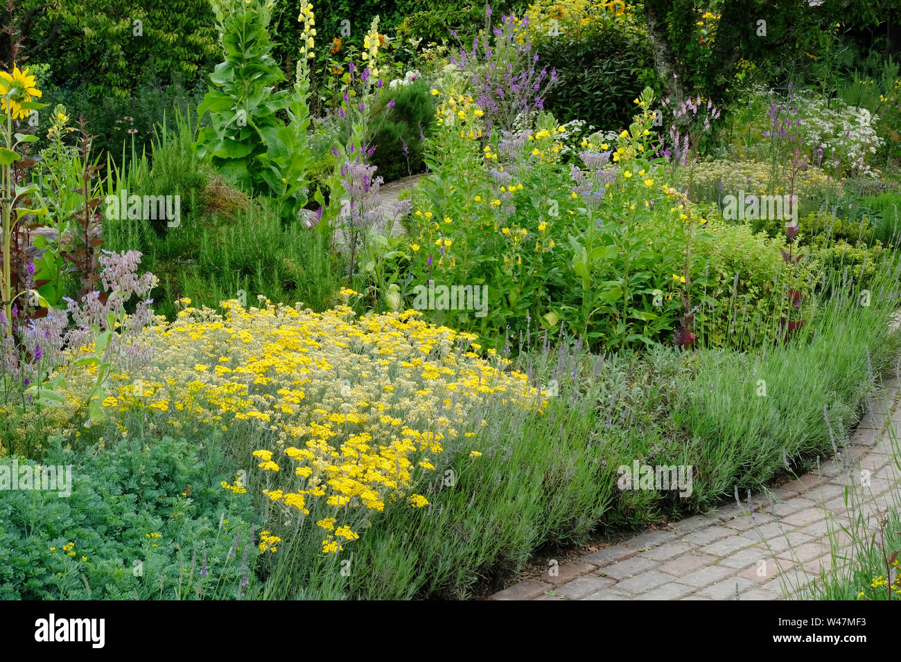 Herbaceous border path hi-res stock photography and images - Alamy