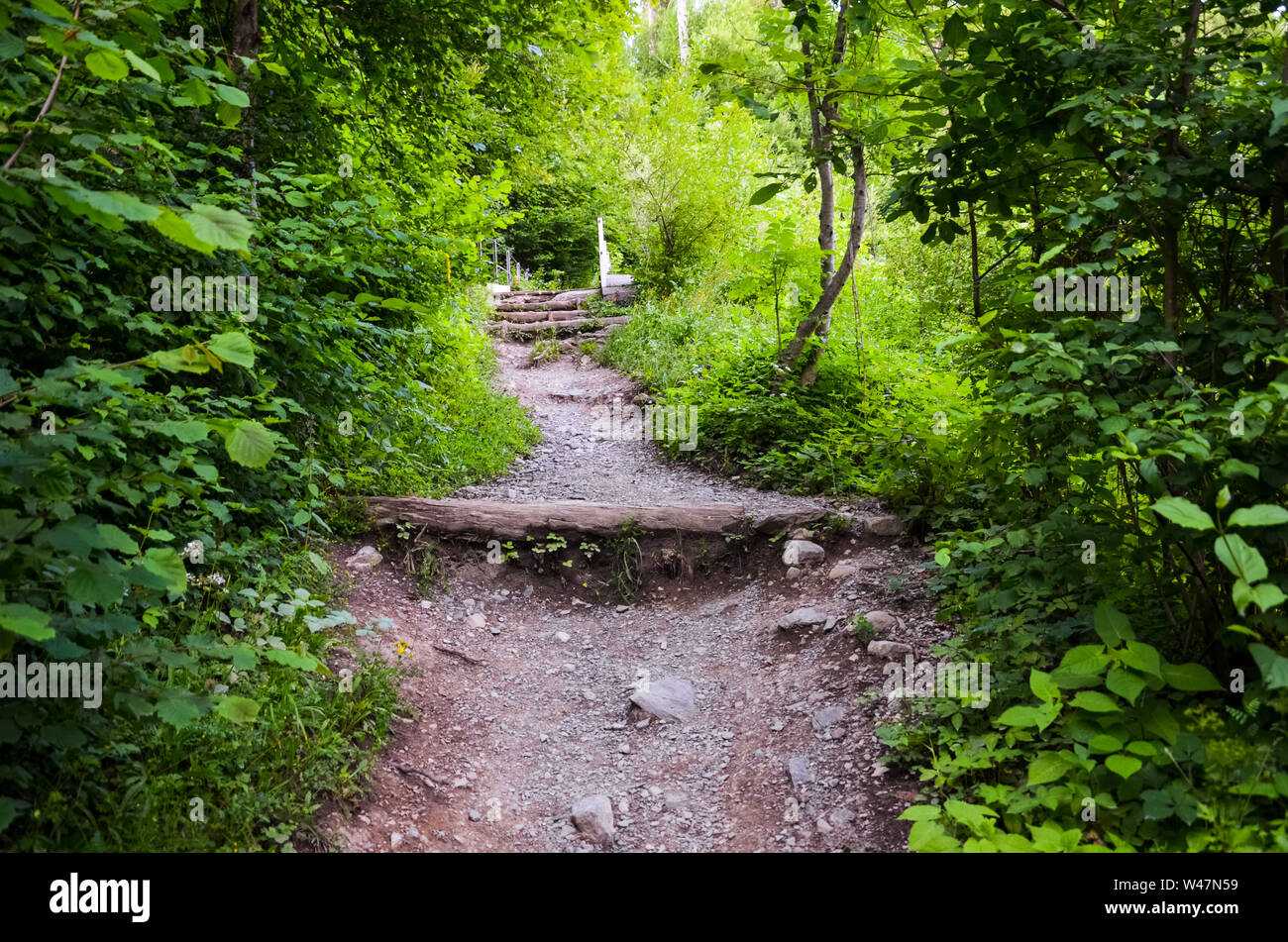 Hiking path in forest leading to the top of famous Harder Kulm, Interlaken, Switzerland. Mountain trail in forest. Hilly terrain. Nature, uphill. Green trees. Stock Photo