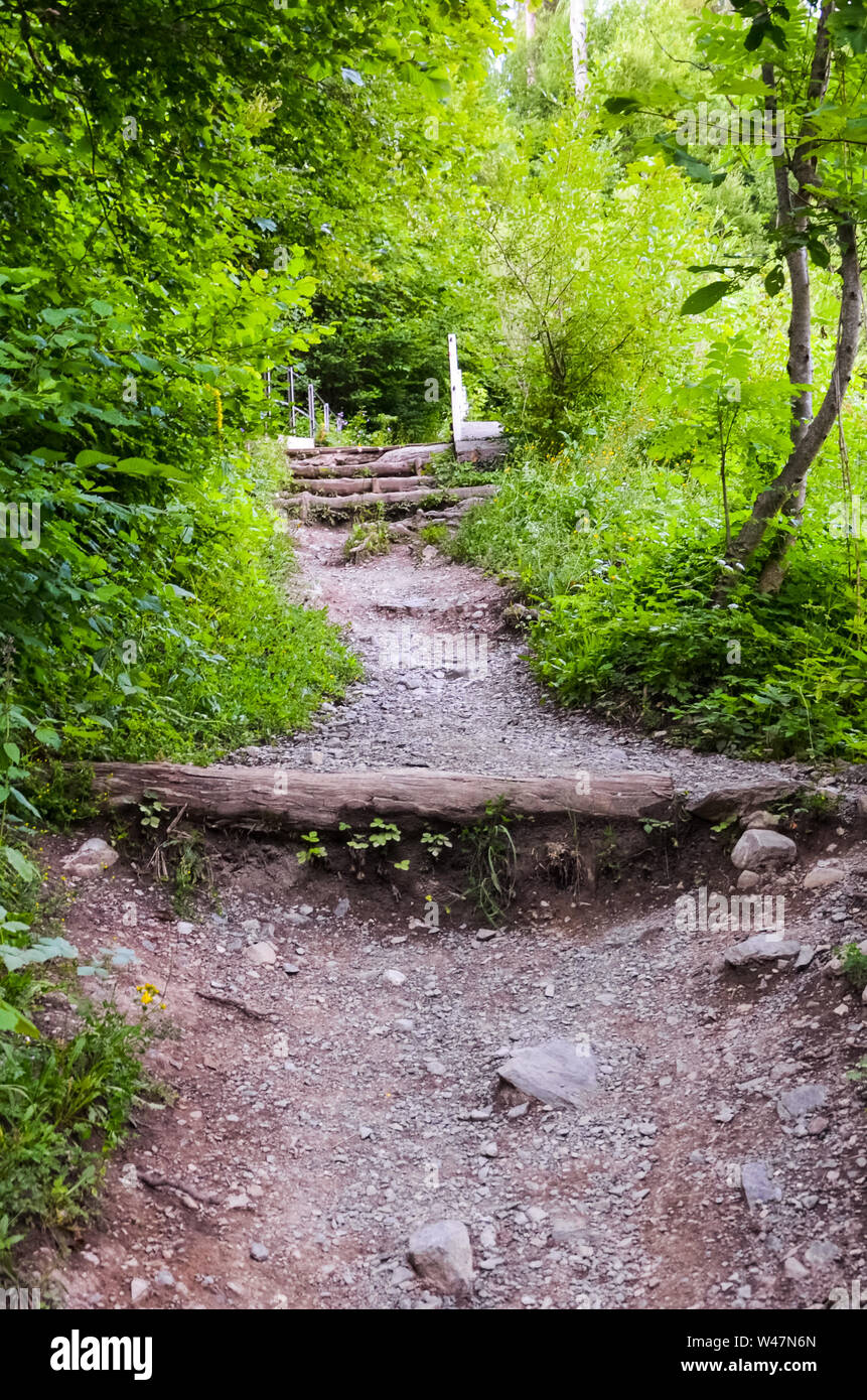 Hiking path in forest leading to the top of famous Harder Kulm, Interlaken, Switzerland. Mountain trail in forest. Hilly terrain. Nature, uphill. Green trees. Stock Photo