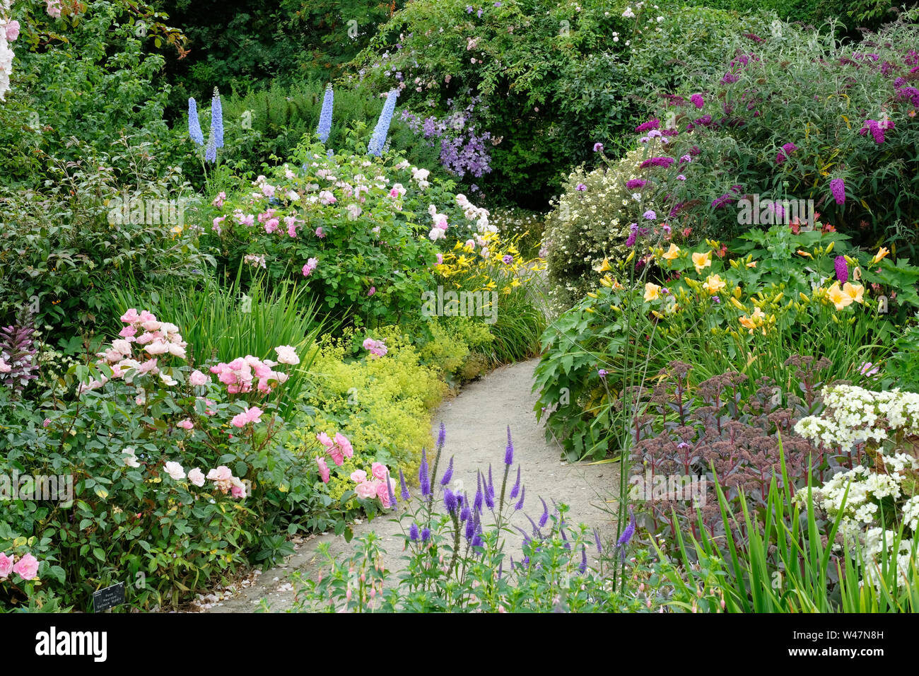 Herbaceous border path hi-res stock photography and images - Alamy