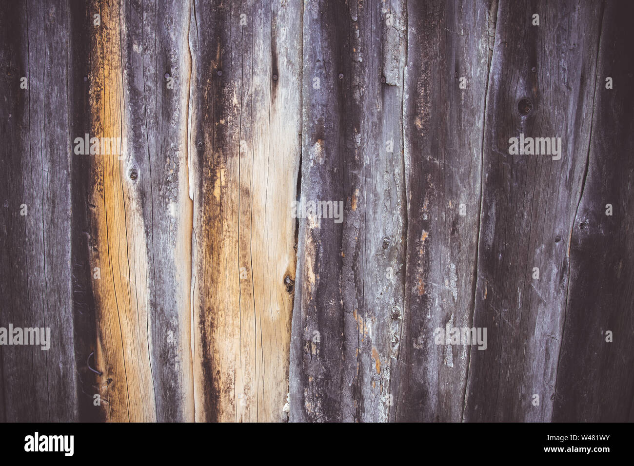 Old Vintage Grey Wooden Grunge Surface. Brown Planks Background and Texture. Stock Photo