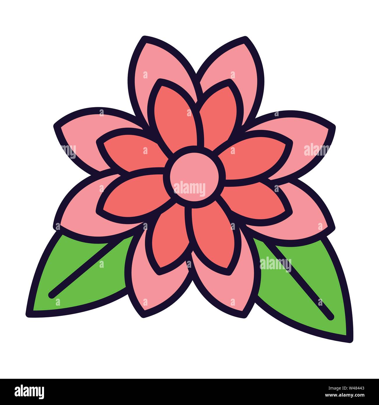 flower petals and leaves white background Stock Vector Image & Art Alamy