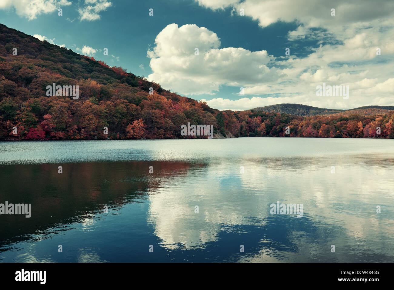 Autumn colorful foliage with lake reflection Stock Photo - Alamy