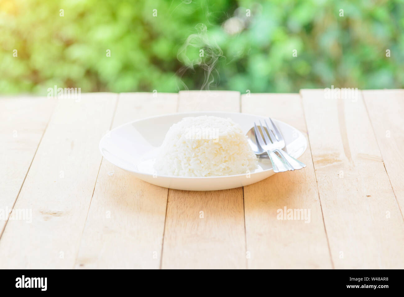 Squeezing the Sushi Rice Inside a Cutting Mold Stock Image - Image of maki,  algas: 130864281