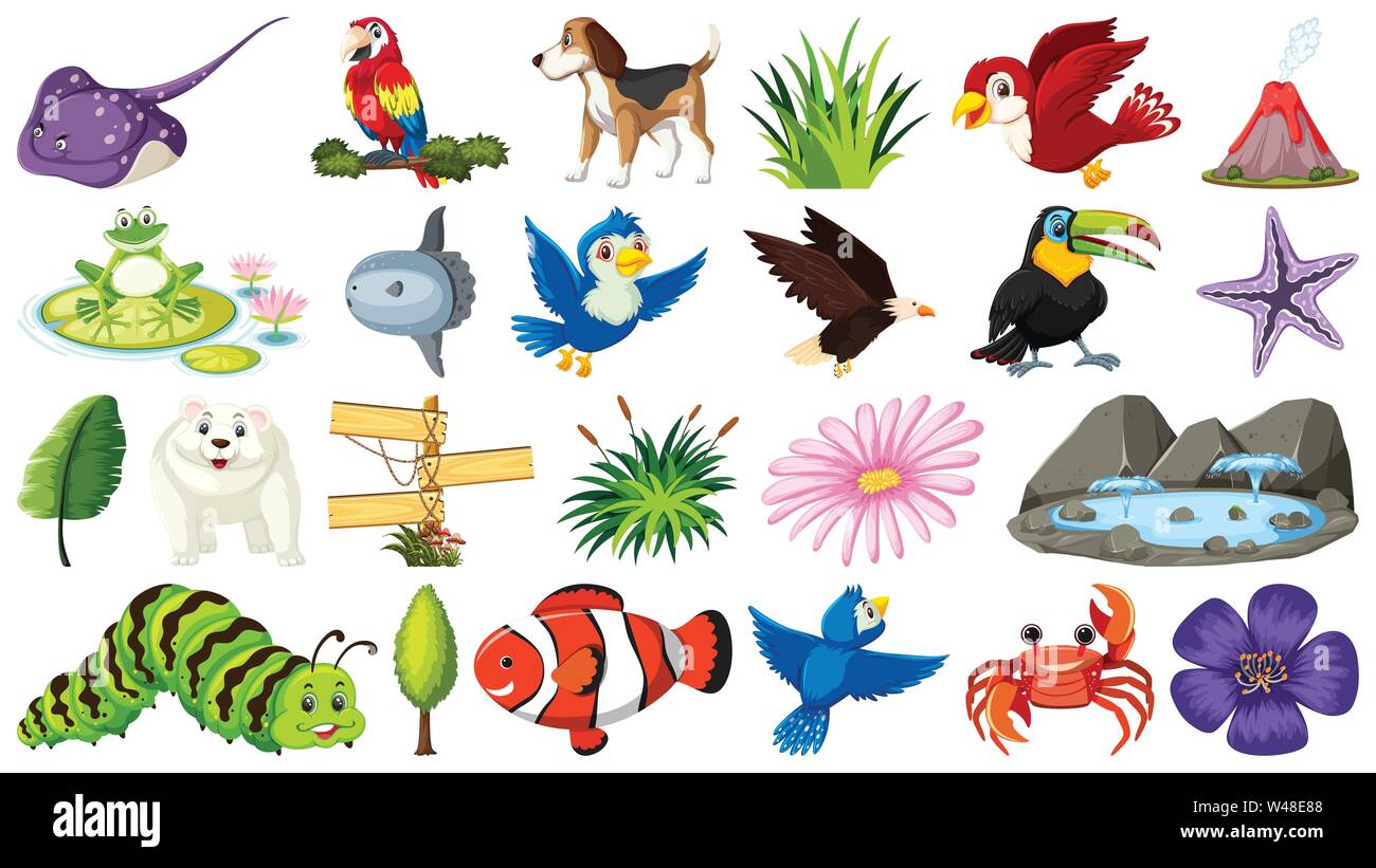 Set of different animal and nature objects illustration Stock Vector ...