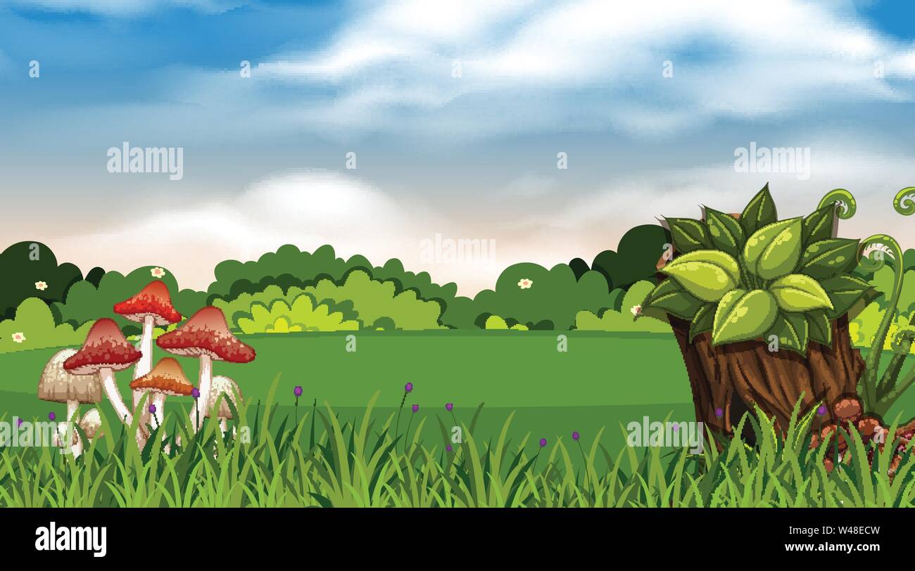 Outdoor park background scene illustration Stock Vector Image & Art - Alamy