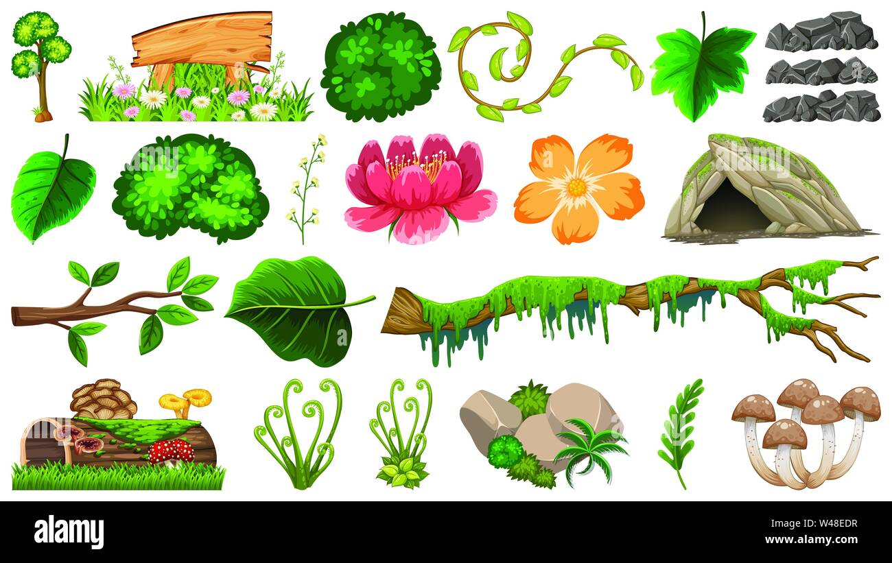 Set of different nature objects illustration Stock Vector Image & Art
