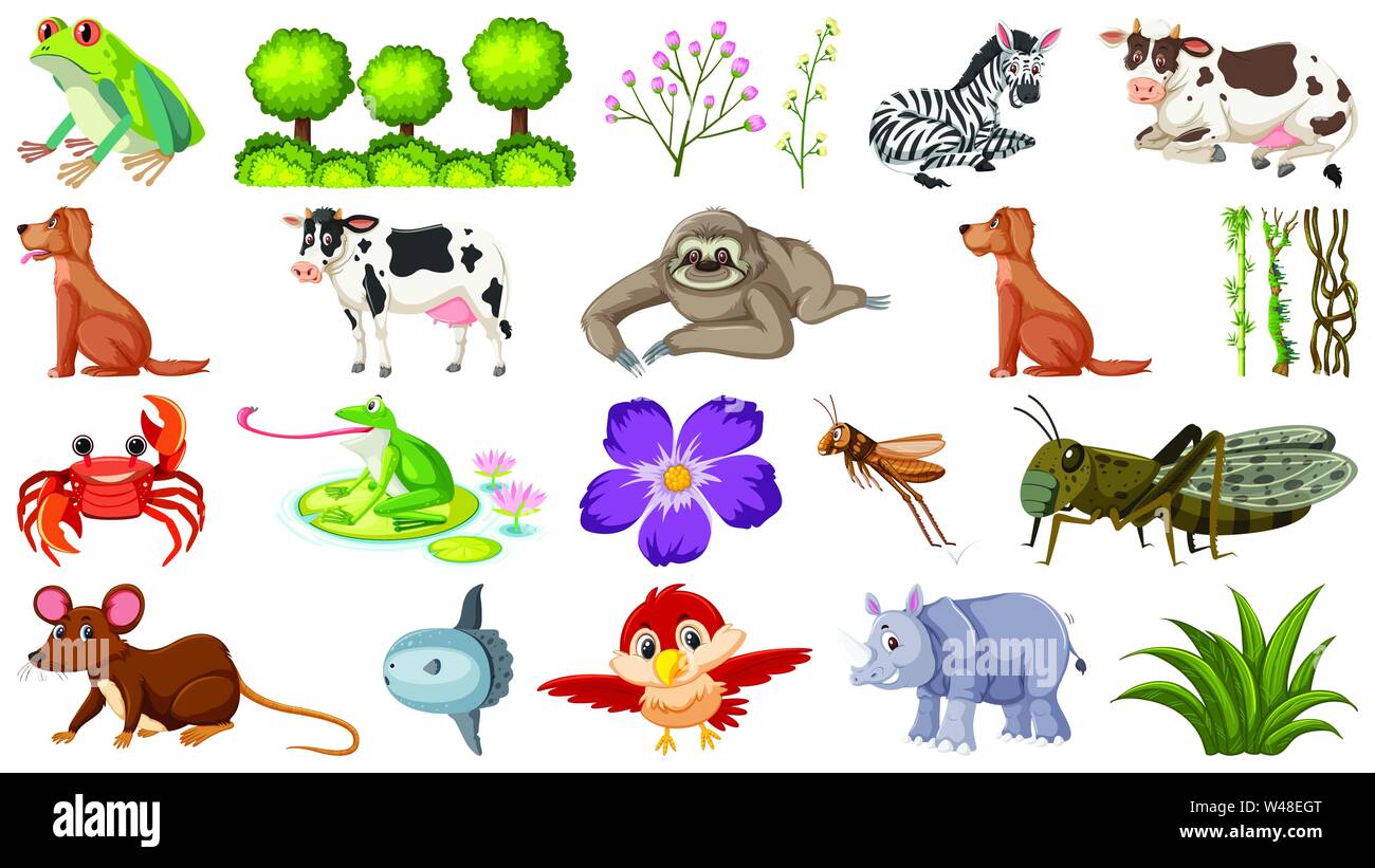 Tree different animals Cut Out Stock Images Pictures Alamy