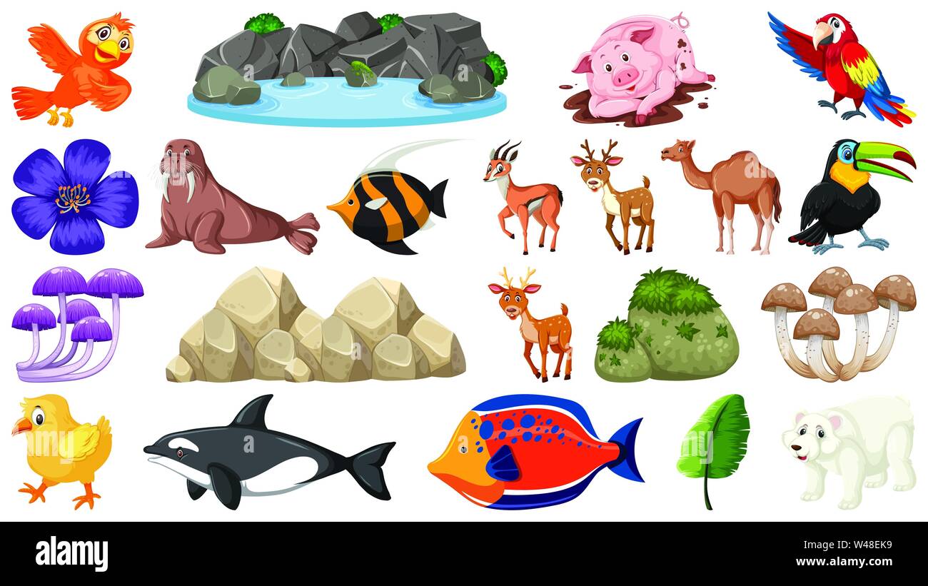 Set of animals and nature objects illustration Stock Vector