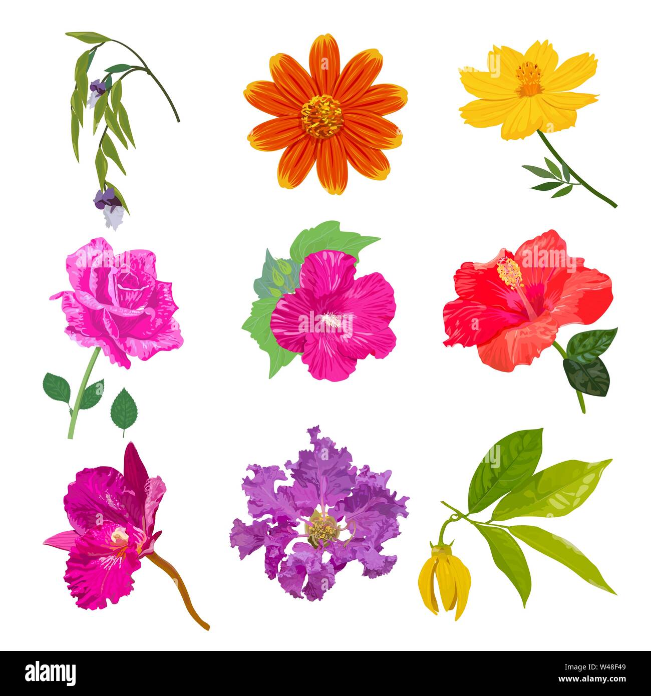 Colorful realistic flower isolated collection set on white background ...