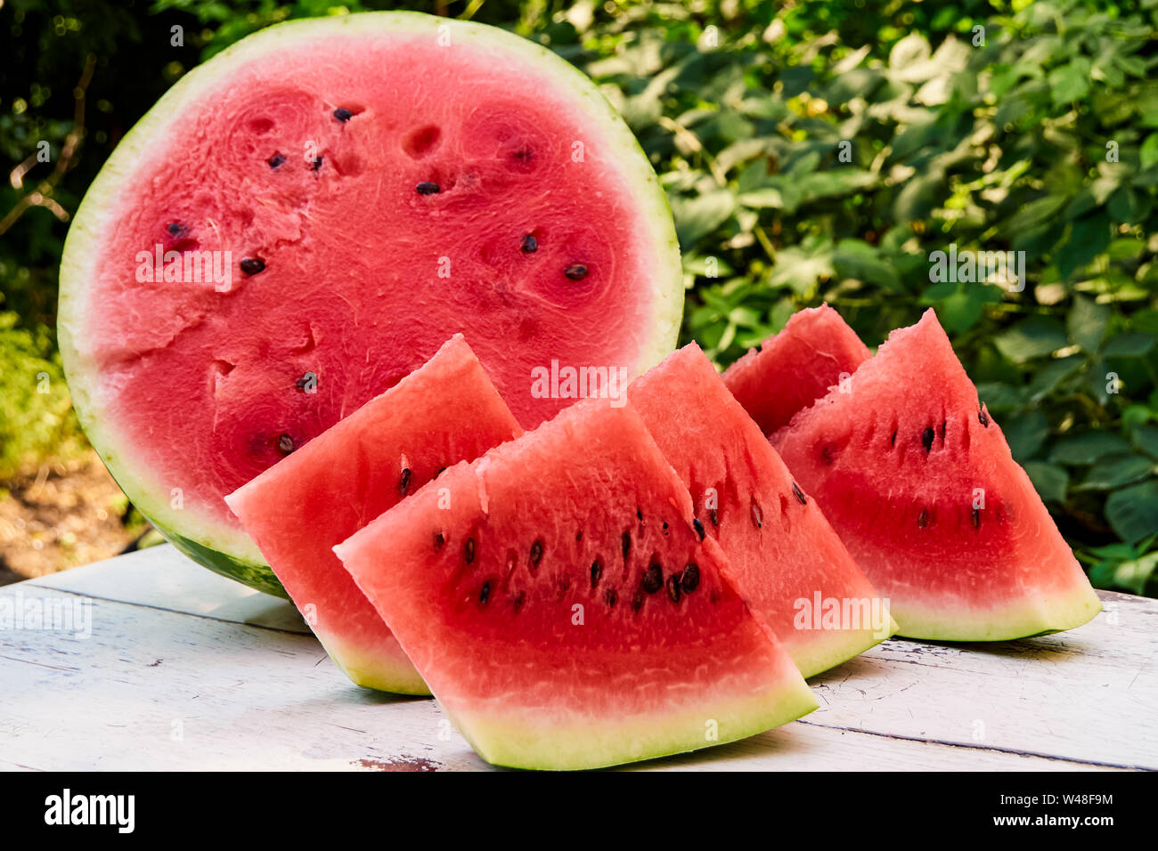 Fresh ripe striped sliced watermelon on a wooden old table, against the background of green leaves, outdoors. Stock Photo