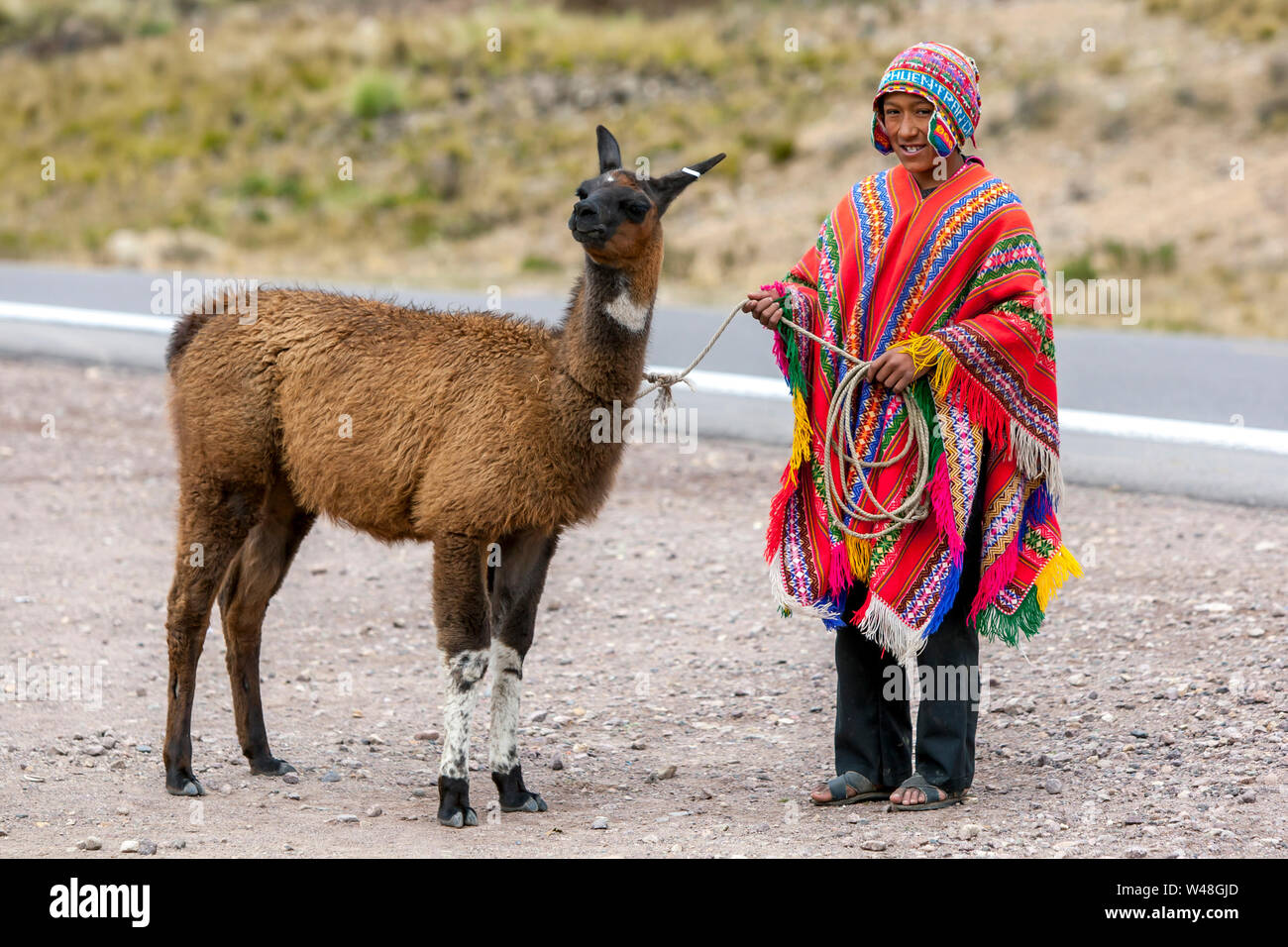 A Peruvian boy standing on the roadside holding a llama at La Region Puno Les Desea Feliz Viaje in Peru. Stock Photo