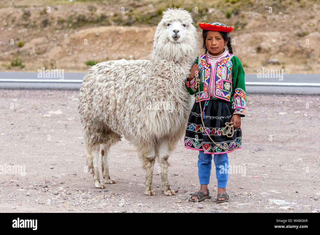 A Peruvian girl standing on the roadside holding a llama at La Region Puno Les Desea Feliz Viaje in Peru. Stock Photo