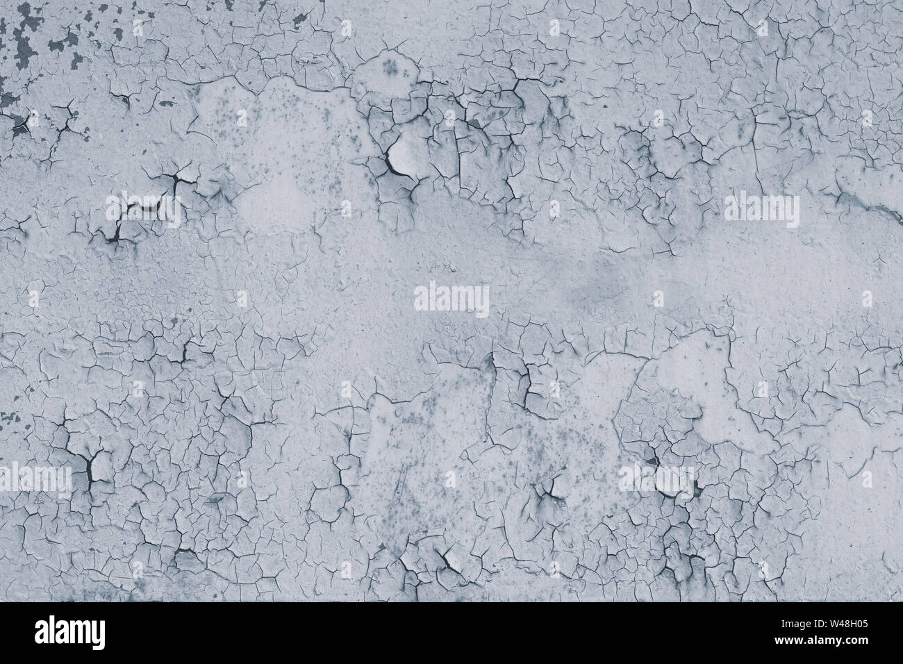 Light grey gray background hi-res stock photography and images - Alamy