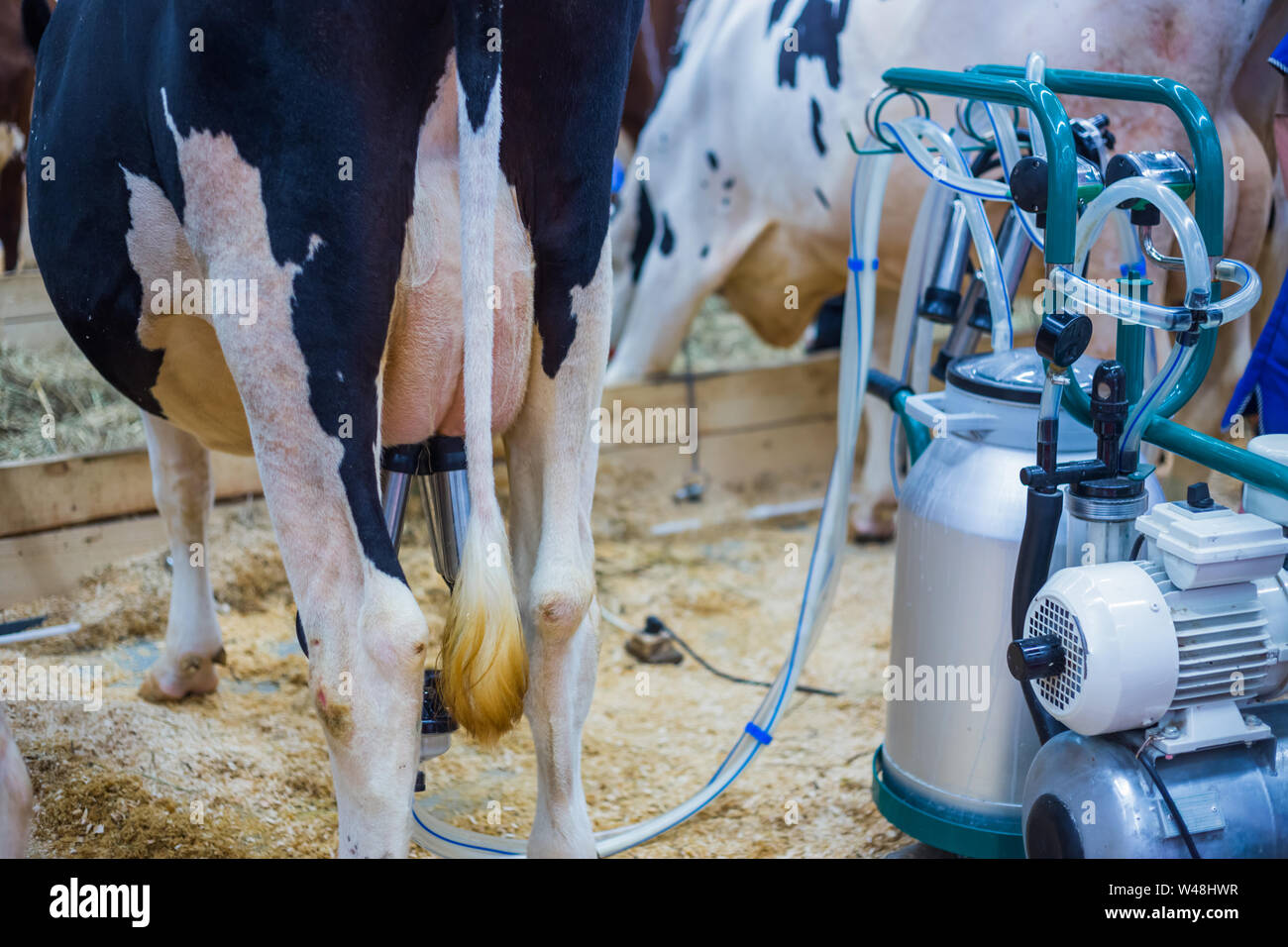 Dairy production facility hires stock photography and images Alamy