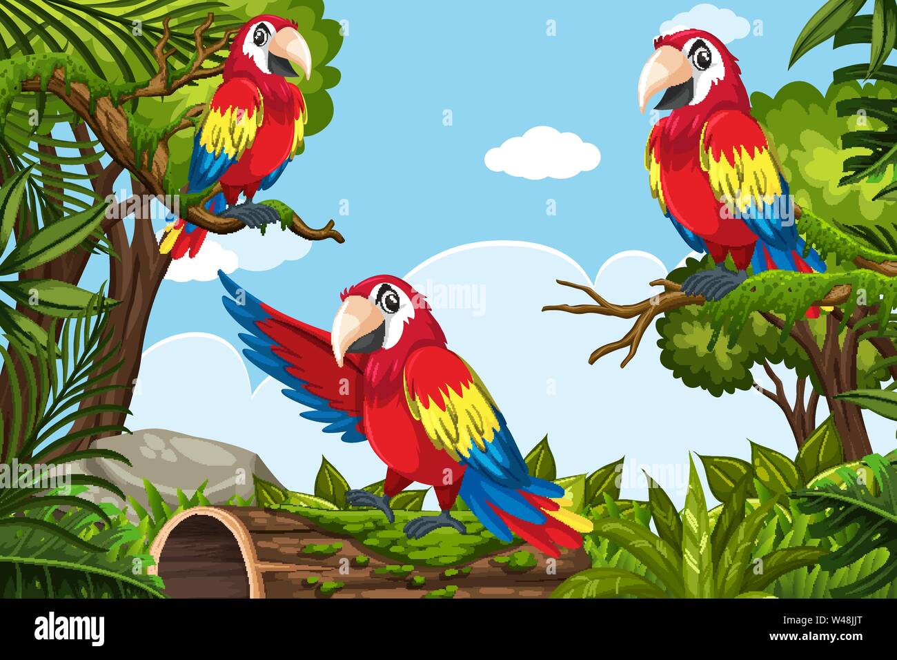 jungle parrot clipart