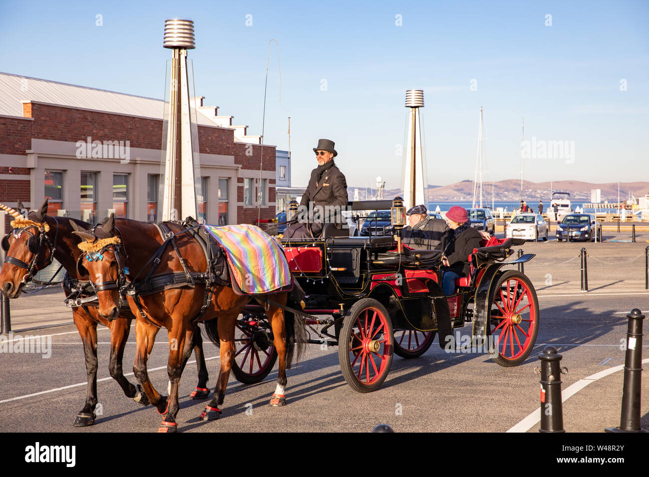 Hobart Tasmania, horse drawn carriage giving tourists a tour of Hobart