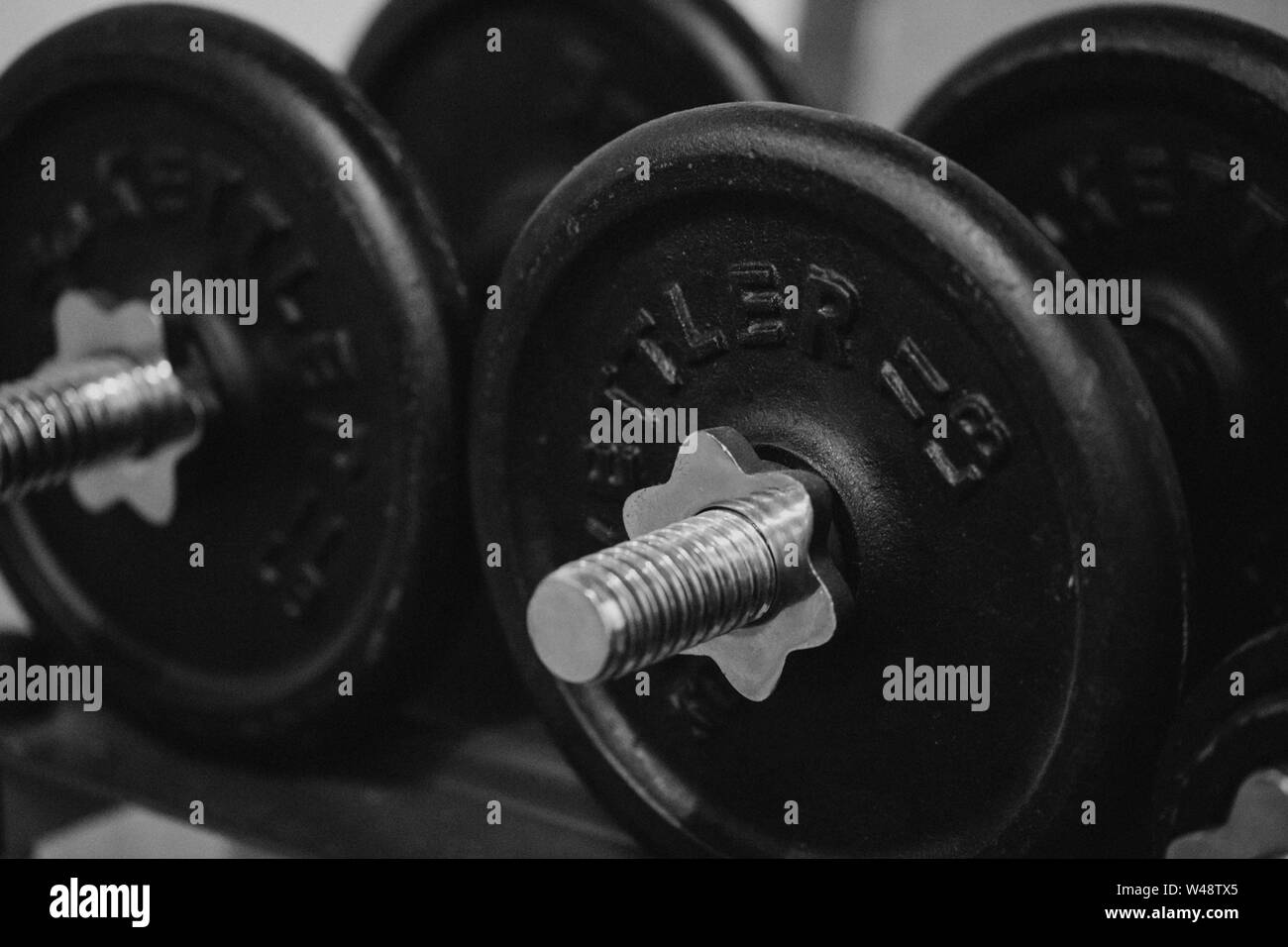 bw macro shot of heavy dumbbells in a gym fitness Stock Photo Alamy