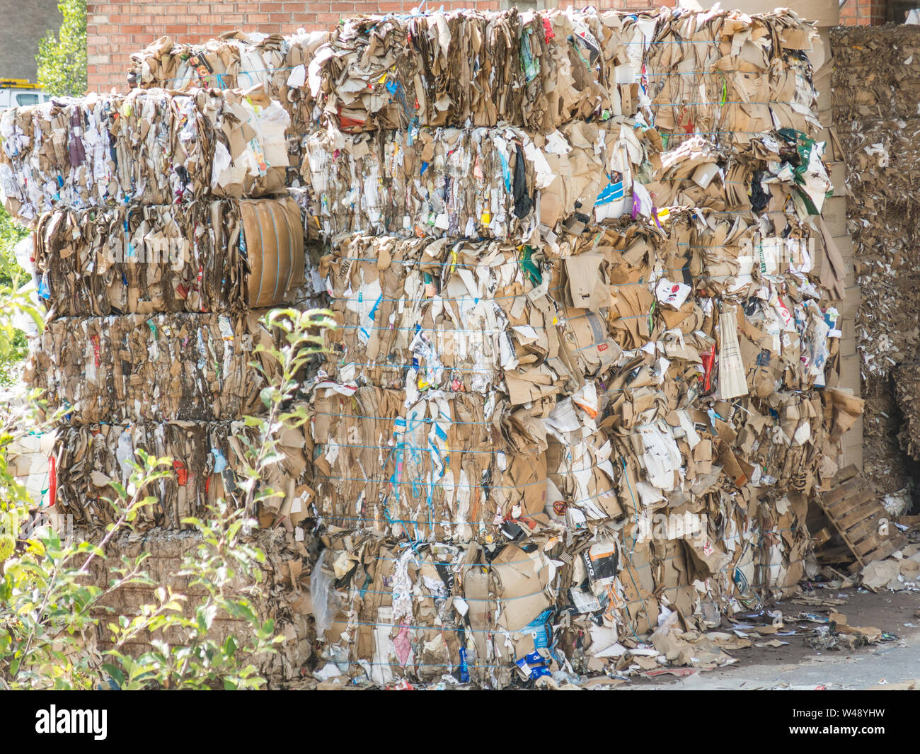 Recycled paper factory. Bales of cardboard, boxes and papers prepared