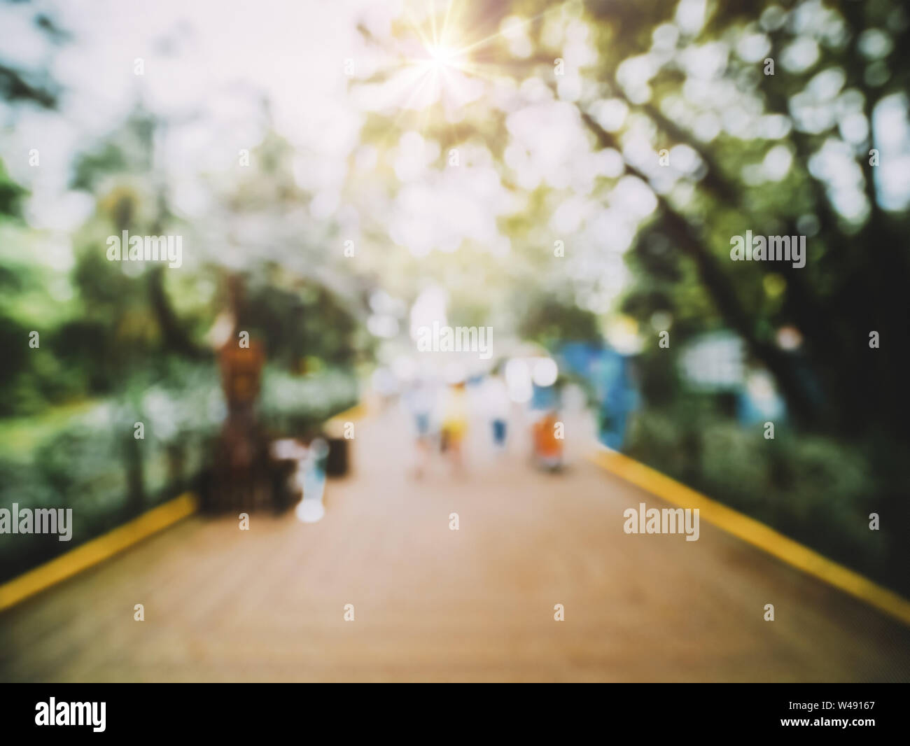 Park summer sun tree hi-res stock photography and images - Alamy