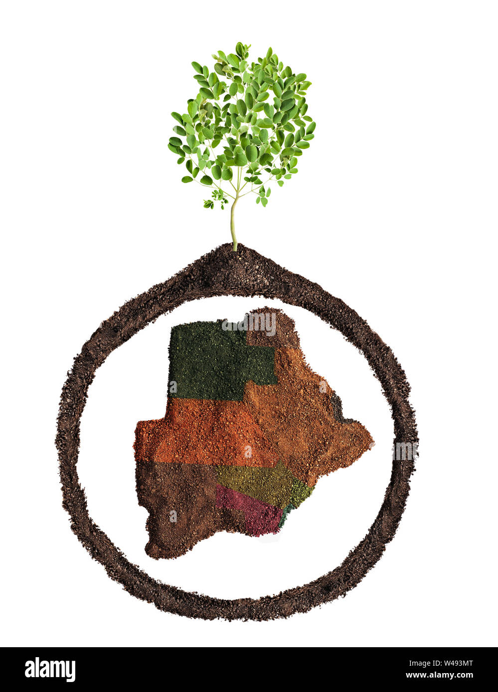 conceptual Botswana district map recycling or agriculture, growing a tree Stock Photo