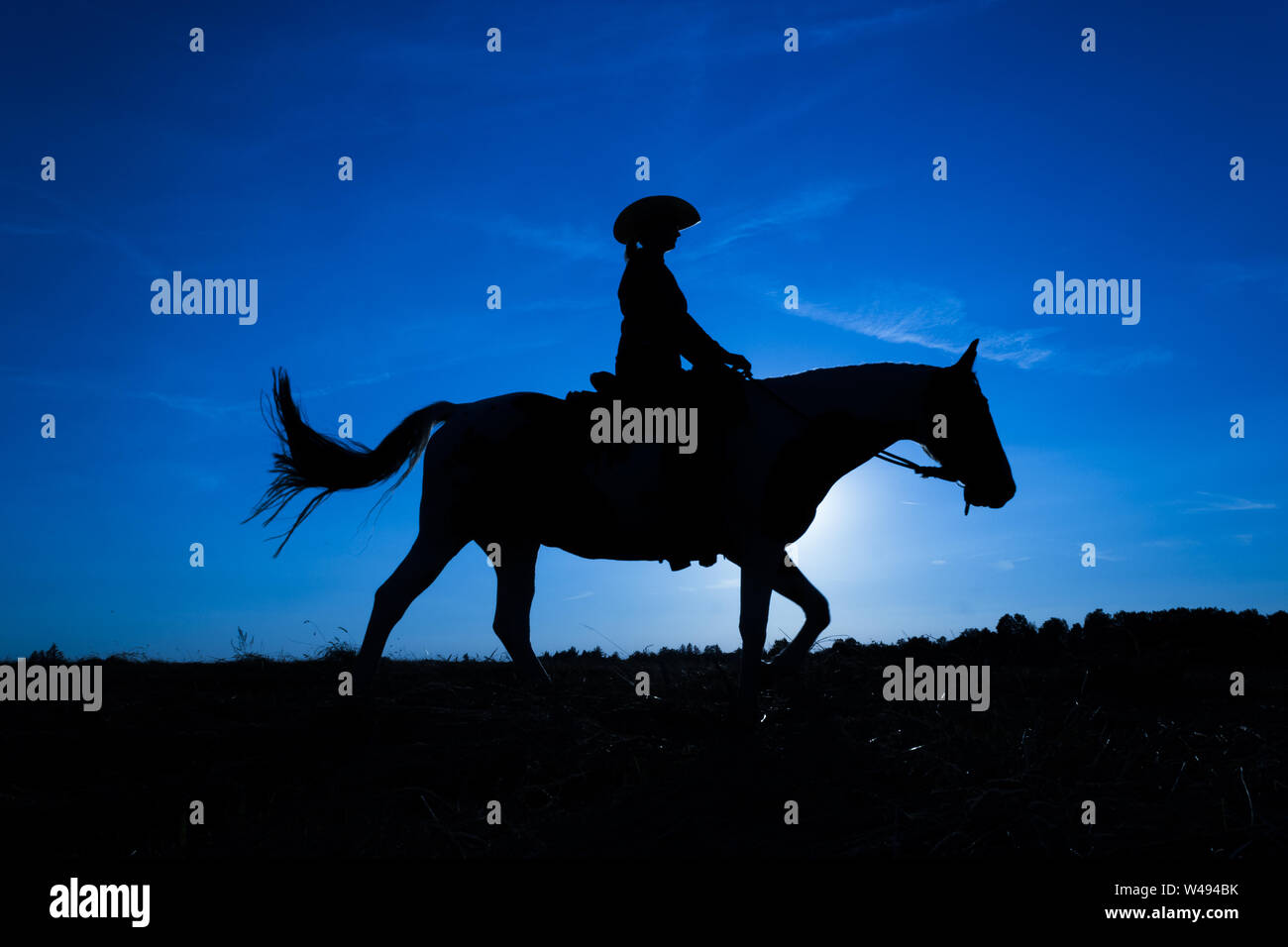 Silhouette cowgirl riding on open plain in western at sunset in blue Stock  Photo - Alamy, image size:1300x956