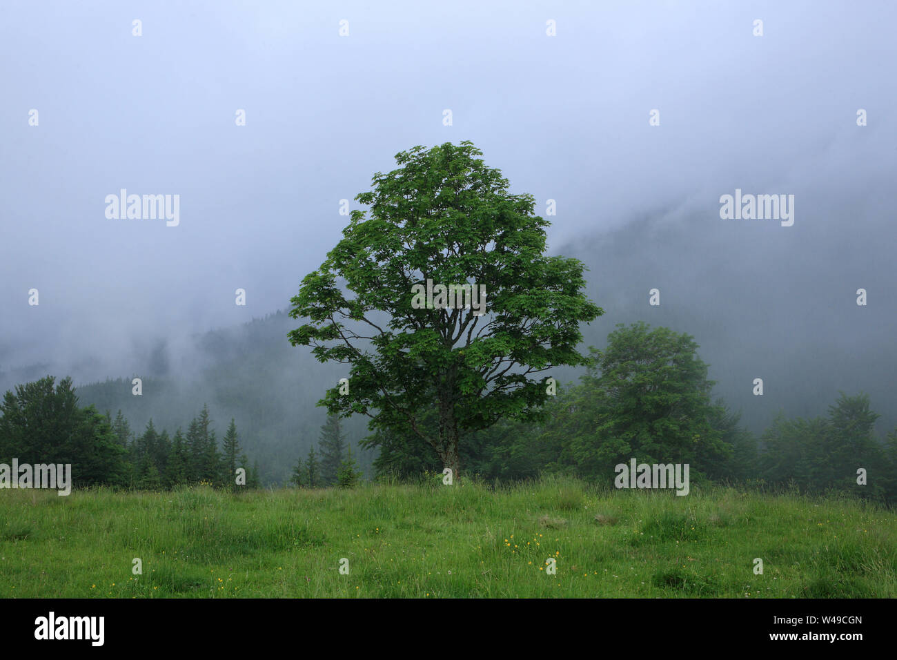 Fog valleys hi-res stock photography and images - Alamy