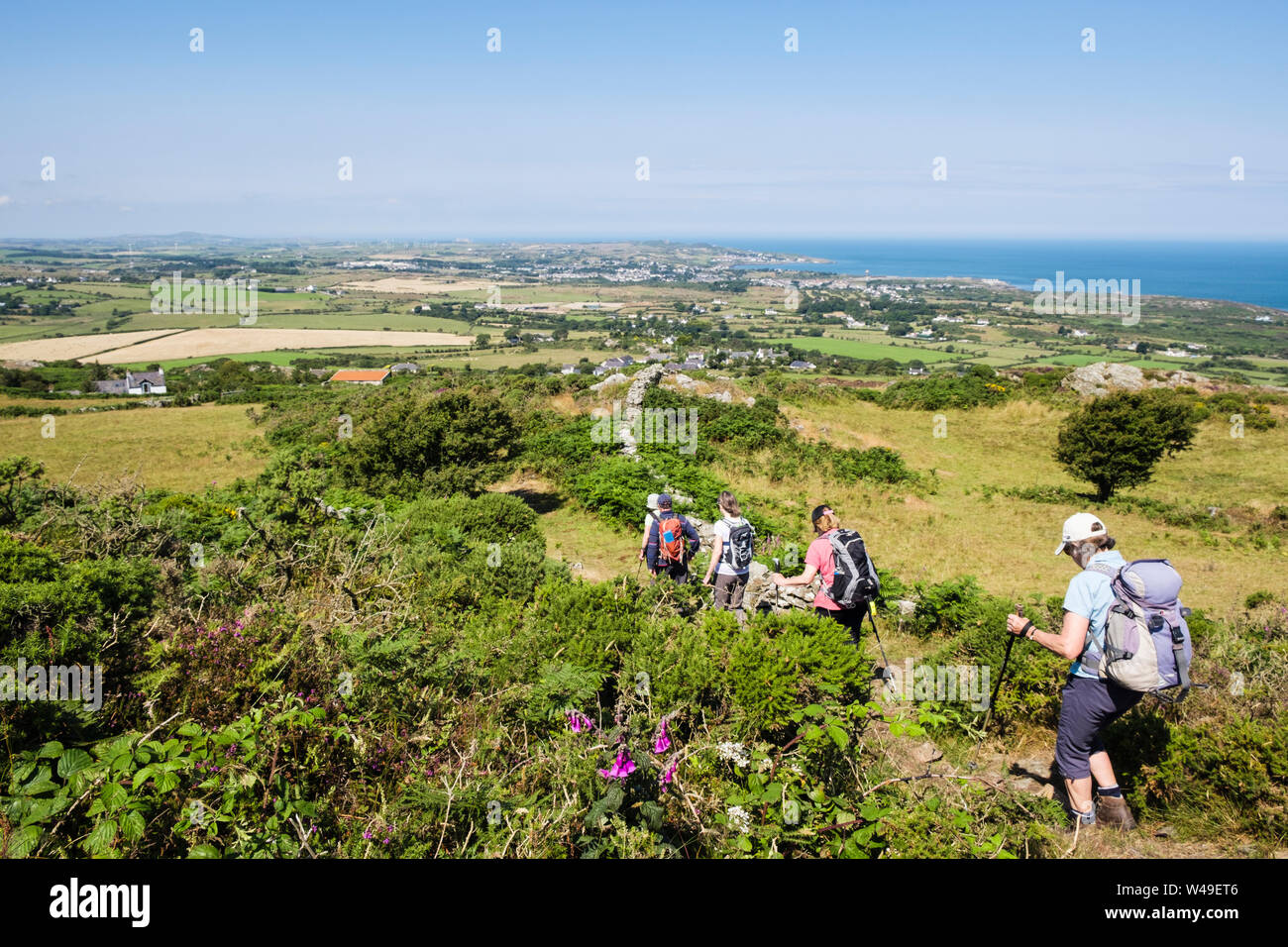Hikers hiking down a footpath on Mynydd Eilian with view to Amlwch on the coast. Llaneilian, Isle of Anglesey, north Wales, UK, Britain Stock Photo