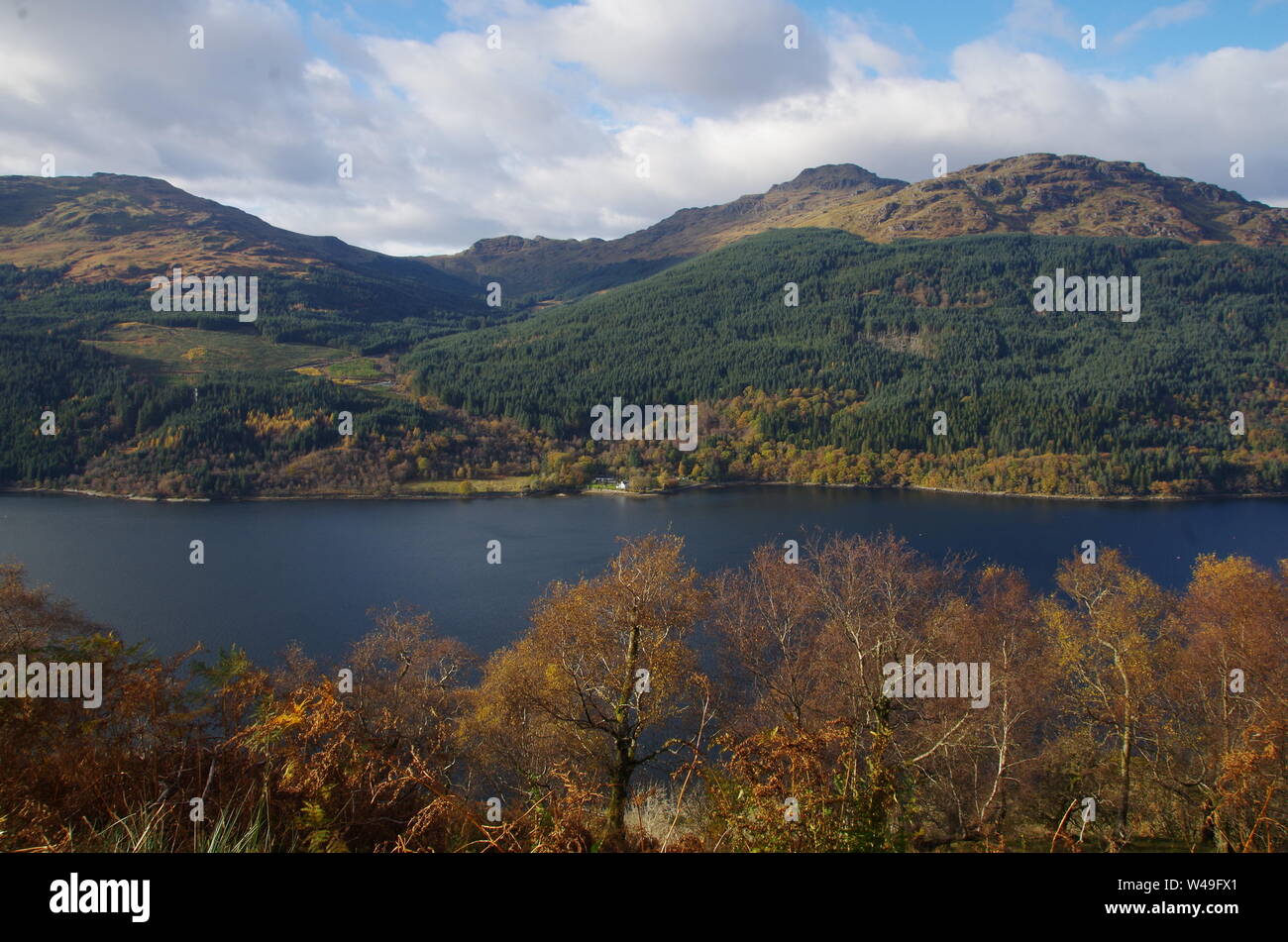 The Loch Lomond and Cowal Way. Cowal peninsula. Highlands. Scotland. UK ...