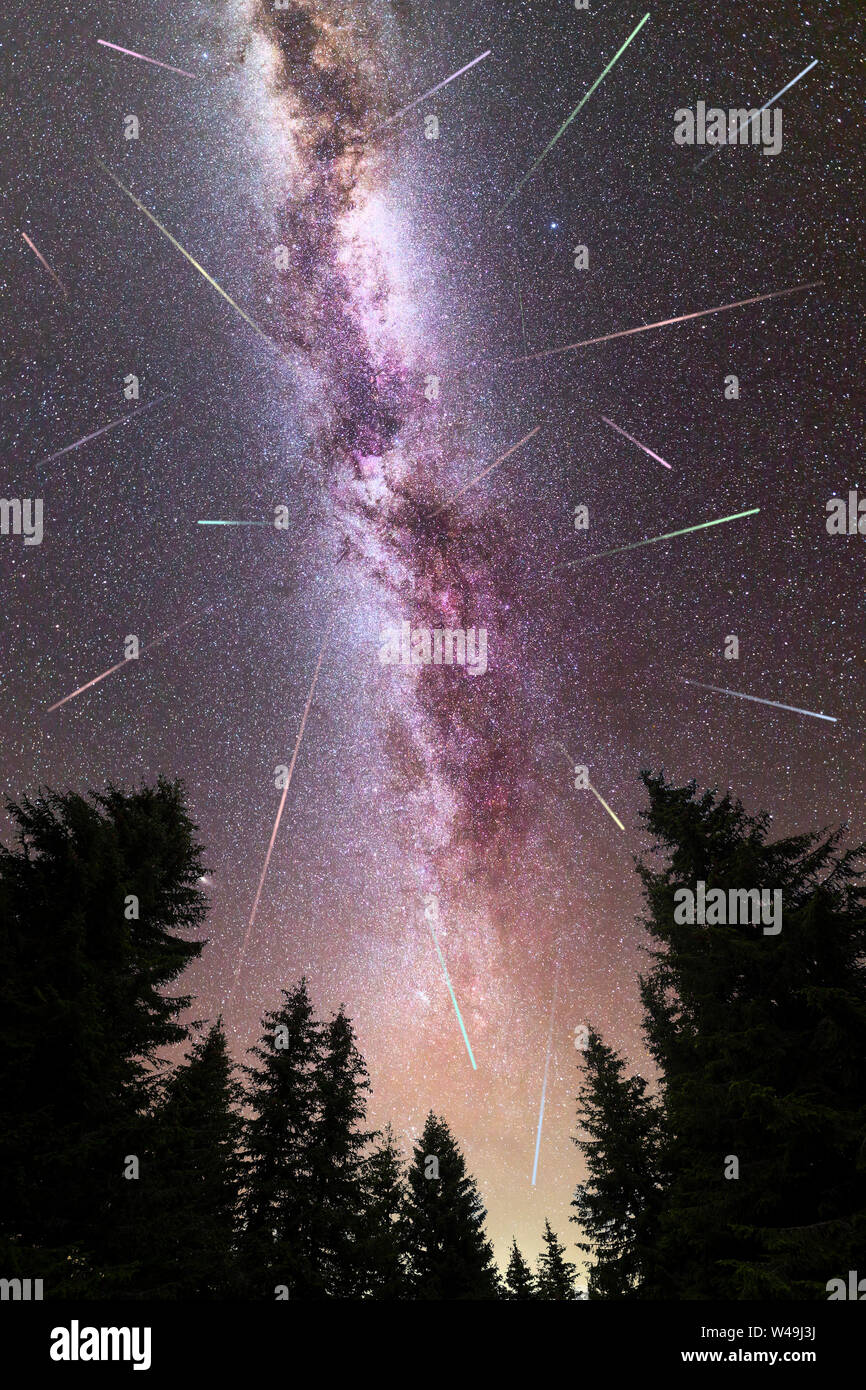 Visual Meteor Observation A view of a Meteor Shower and the purple Milky Way with pine trees ...