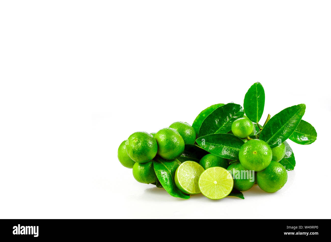 Seedless organic lime fruits (Citrus aurantifolia) isolated on white background Stock Photo Alamy