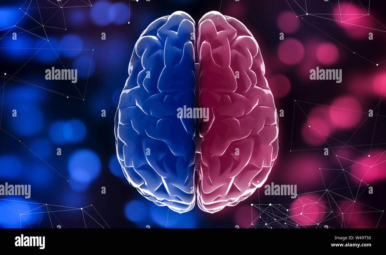 Blue and red halves of brain, blurred lights background, close up Stock Photo