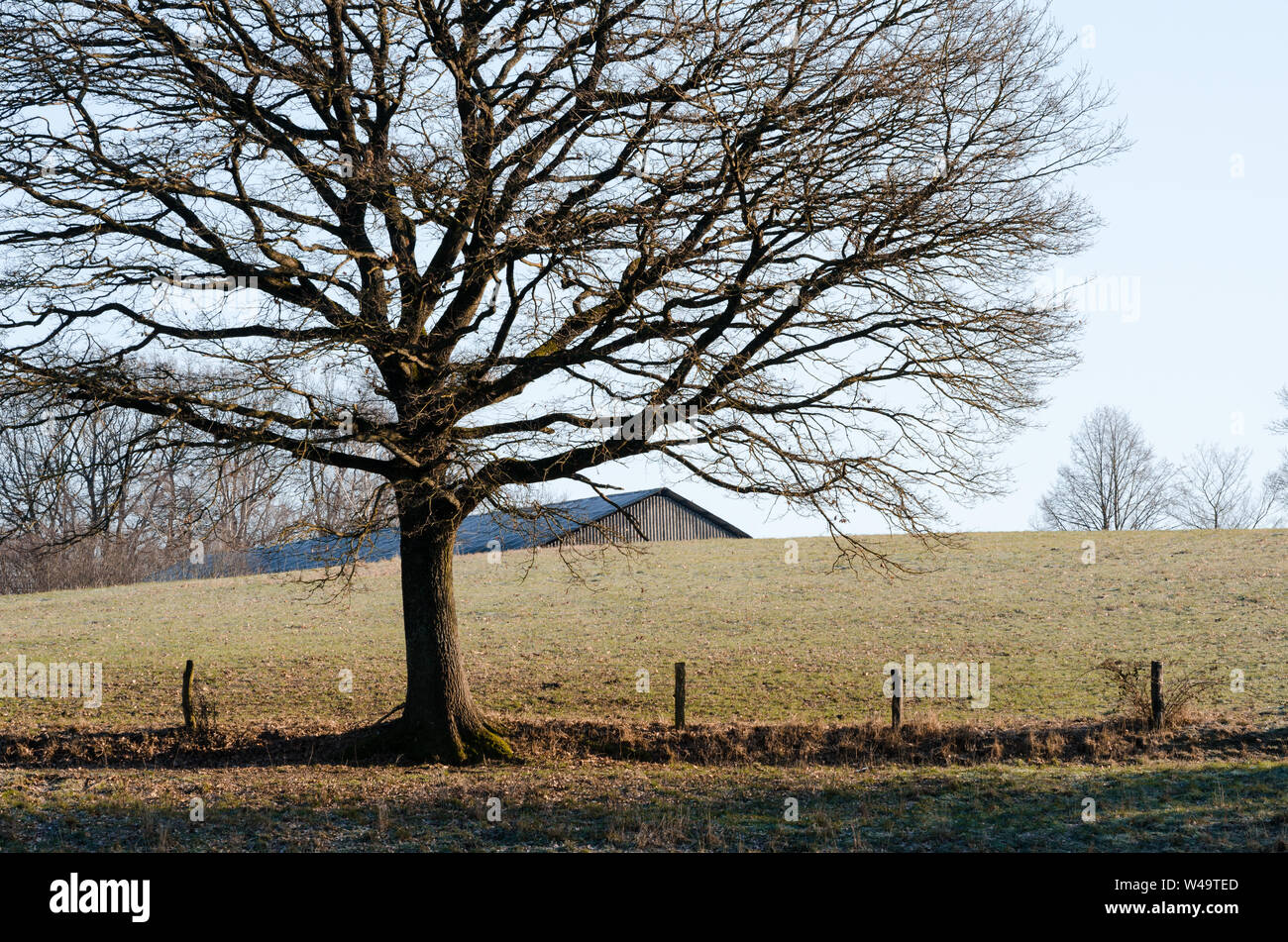 In the countryside, rural landscape in Bavaria, Germany Stock Photo - Alamy