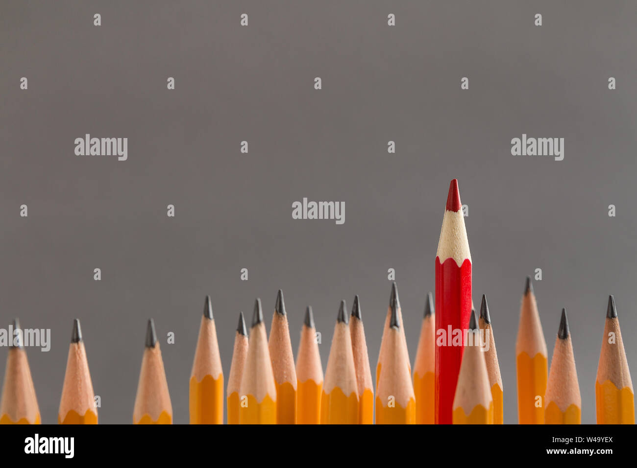 One red pencil sticking out of similars crowd on gray background Stock Photo