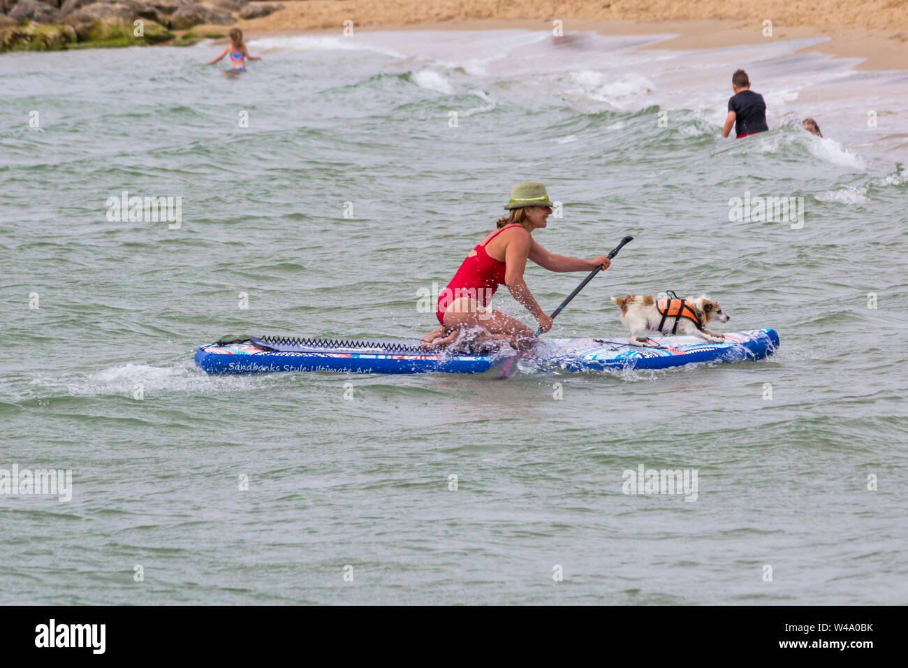 Branksome Dene Chine, Poole, Dorset, UK. 21st July 2019. After the success of last years UKs first Dog Surfing Championships, organised by Shaka Surf, at Branksome Dene Chine beach, the event is held for the second year with even more dogs taking part and surfing and paddleboarding on their boards. Crowds turn out to watch the fun on a breezy day making conditions more challenging. Tilly, the Jack Russell, dog surfing with owner - Tilly on surfboard paddleboard.Credit: Carolyn Jenkins/Alamy Live News Stock Photo