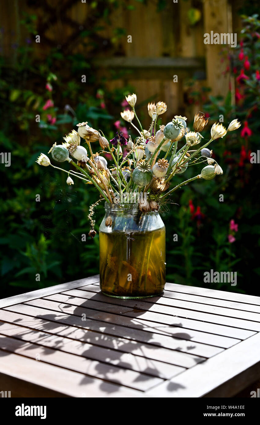 Dried flower display including poppy heads seeds in a vase outdoors in a garden Stock Photo