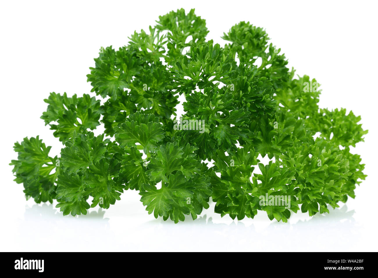 Fresh green parsley isolated on white background Stock Photo - Alamy