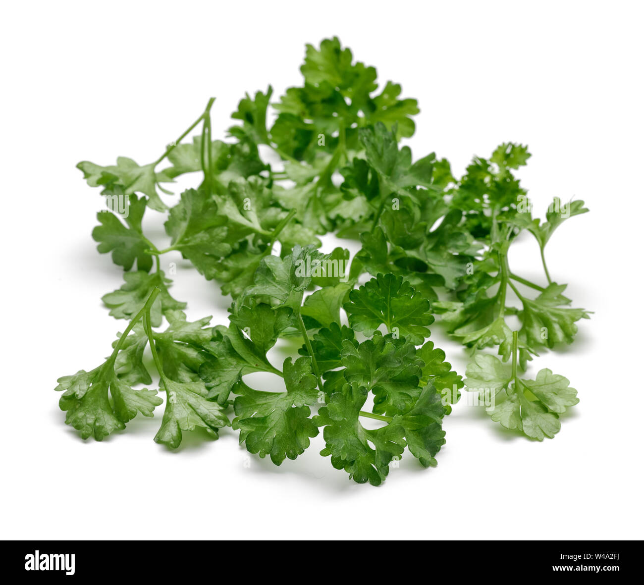 Fresh green parsley isolated on white background Stock Photo - Alamy