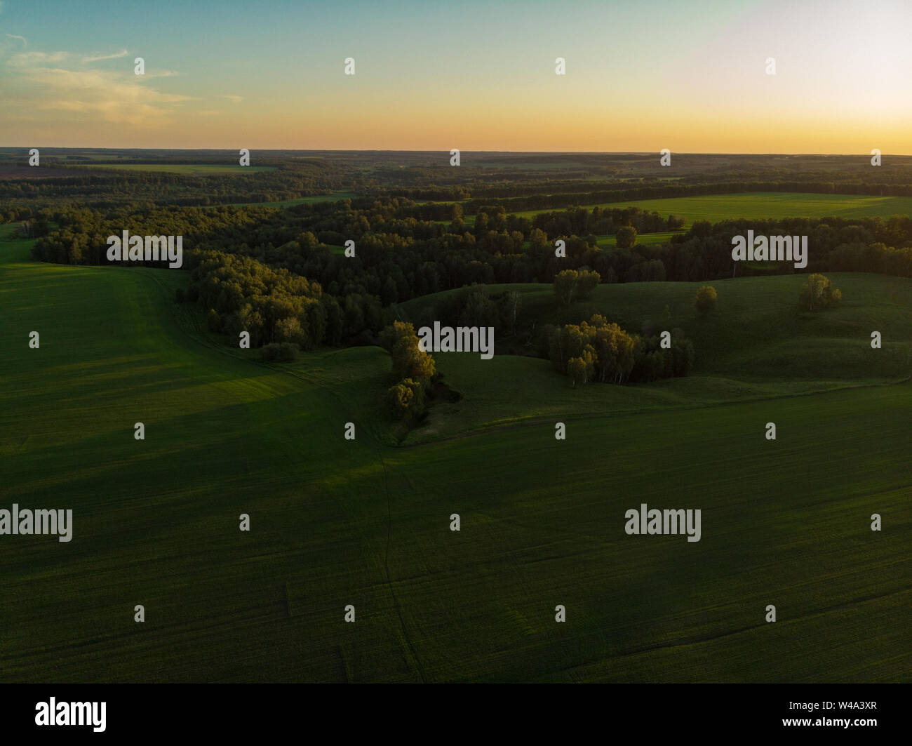 Top aerial view of green fields and meadows Stock Photo - Alamy