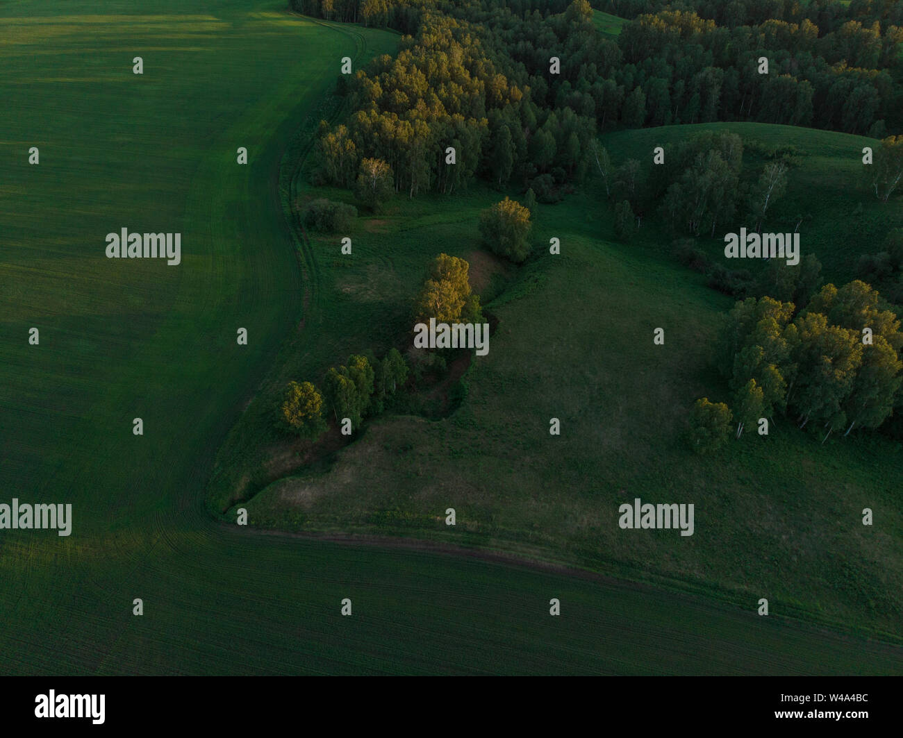 Top aerial view of green fields and meadows Stock Photo - Alamy