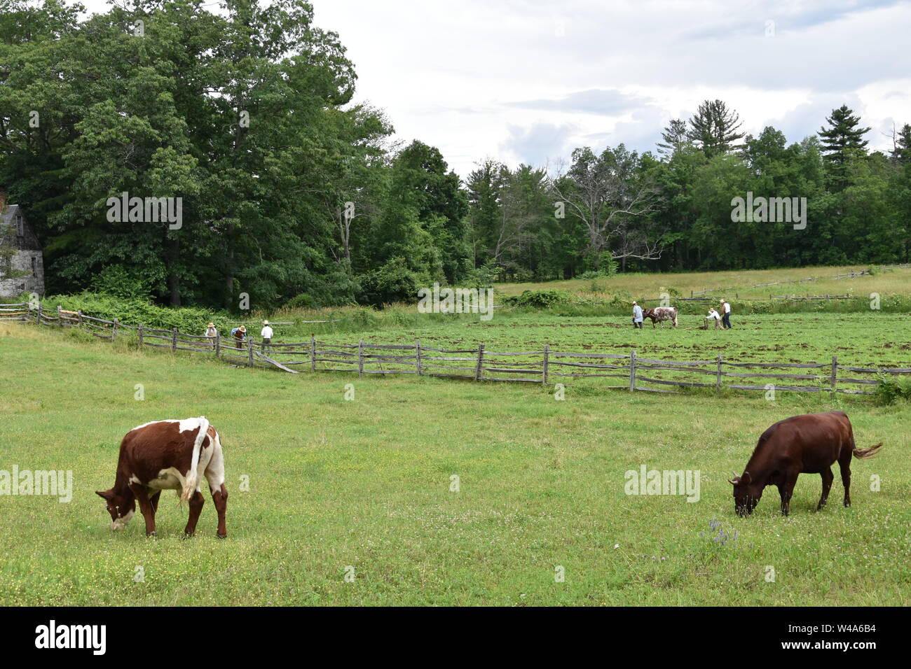 Sturbridge Village, a living history museum filled with historical New ...