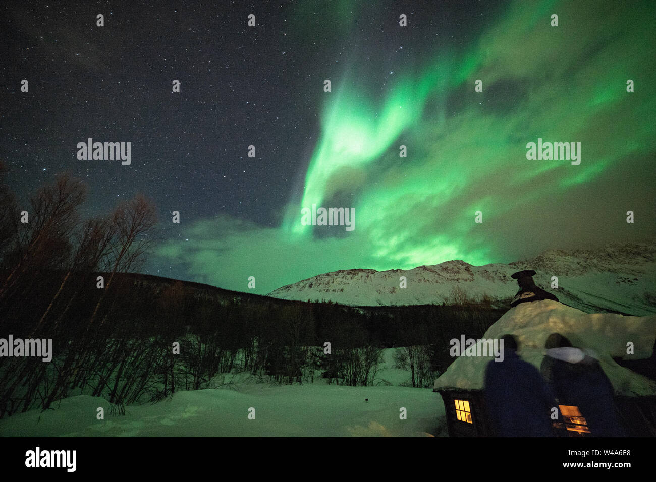 Aurora Borealis, wunderschöne Nordlichter, in Lyngenalps, Tromsö, Norwegen, Stock Photo