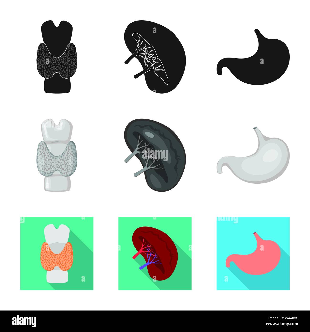 Vector illustration of biology and scientific sign. Set of biology and ...