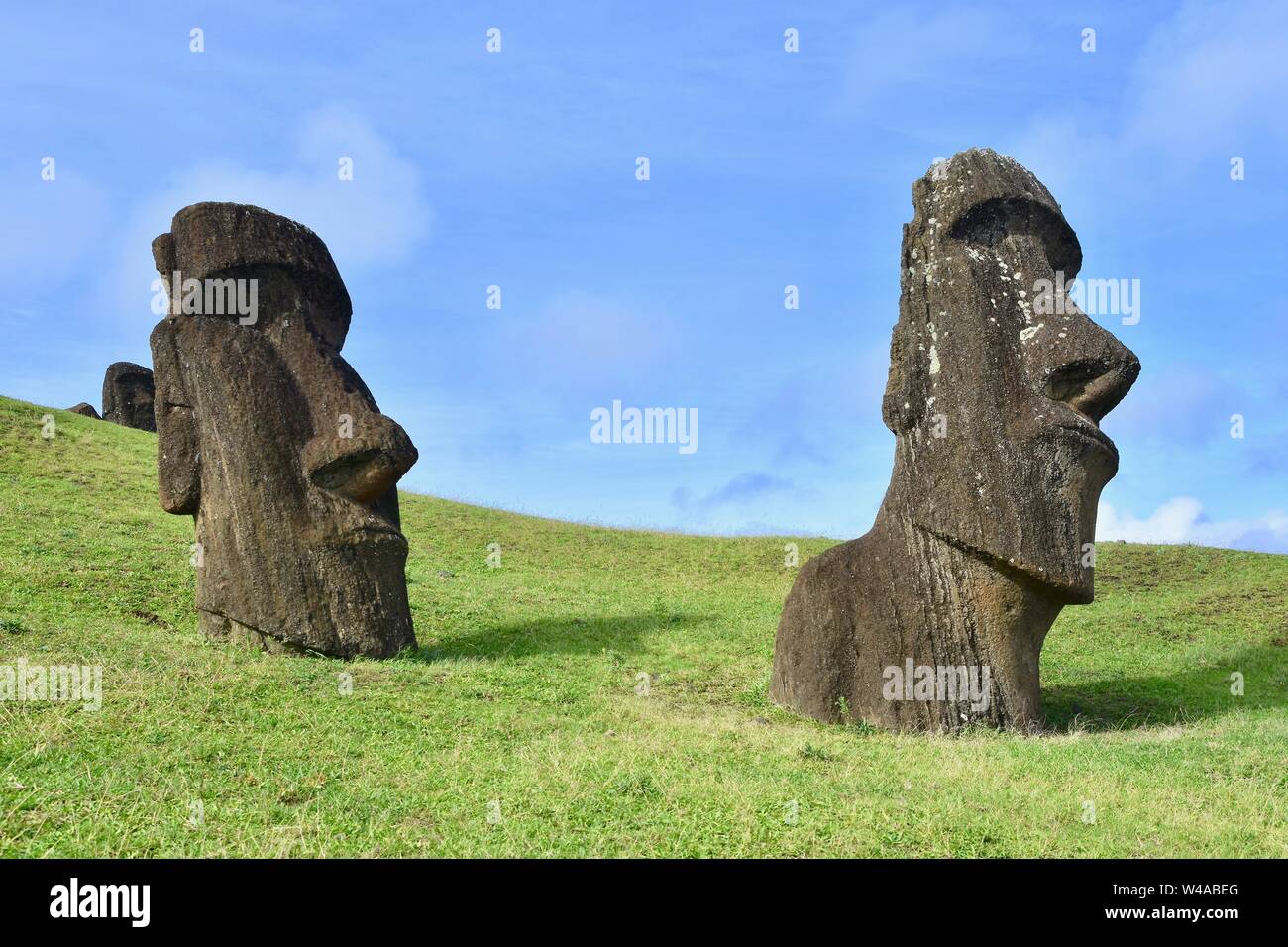 Two Ancient Moai heads from the Rano Raraku, Rapa Nui National Park. A