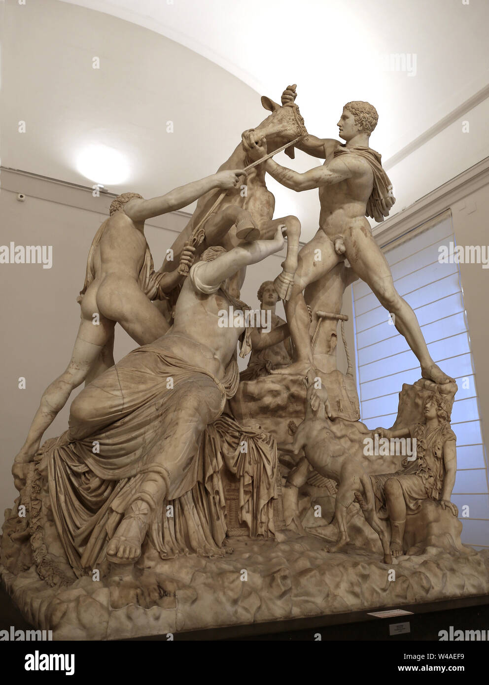 The Farnese bull. Roman copy of Hellenistic original (3rd cent. AD). Torment of Dirce. Baths of Caracalla. White marble. Naples. Stock Photo