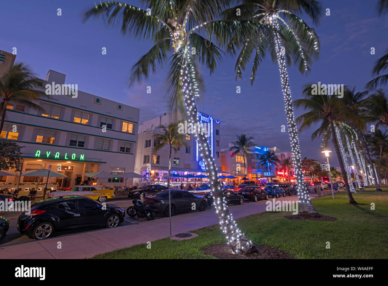 CHRISTMAS LIGHTS ON PALM TREES HOTELS OCEAN DRIVE LUMMUS PARK SOUTH BEACH MIAMI BEACH FLORIDA USA Stock Photo