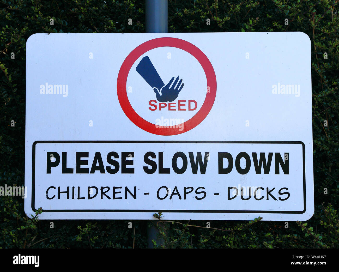 Slow Down, sign, traffic, roadside, Children, OAPs, Ducks Stock Photo