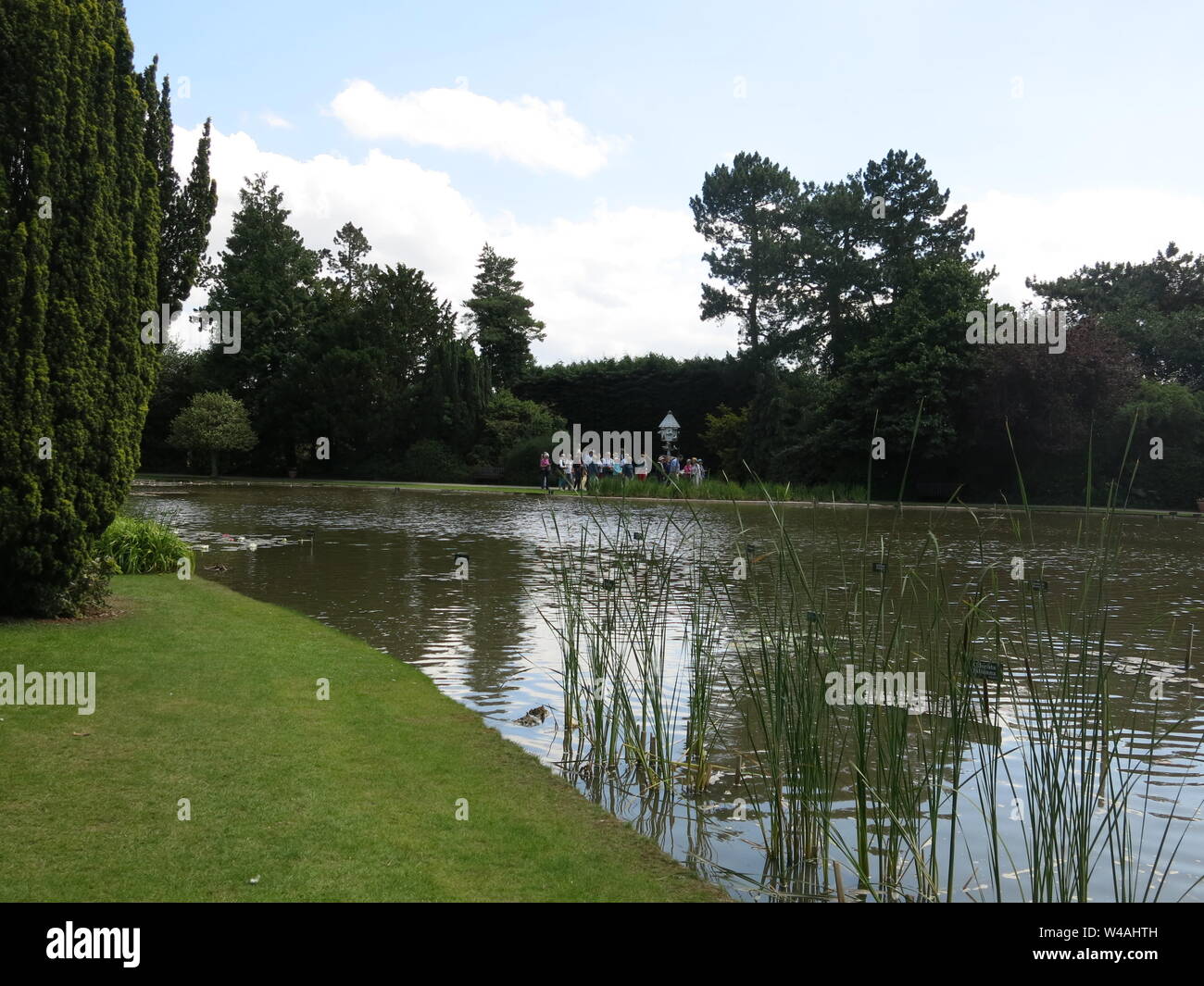 A group of visitors is given a conducted tour round the waterlily lakes