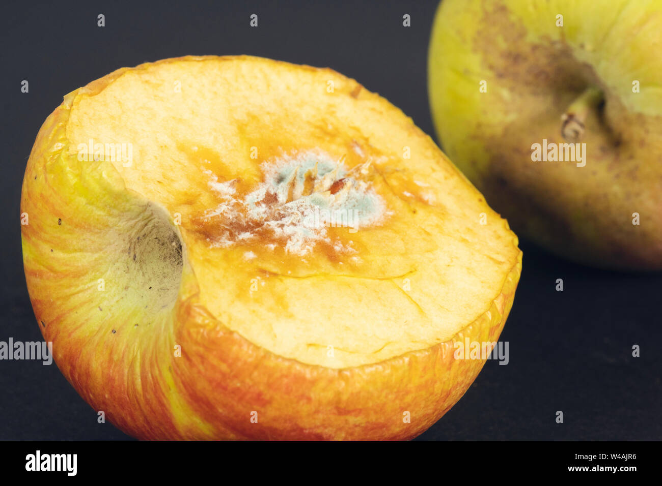 rotten apple on black in top view. Apple biting rotten bruise Stock